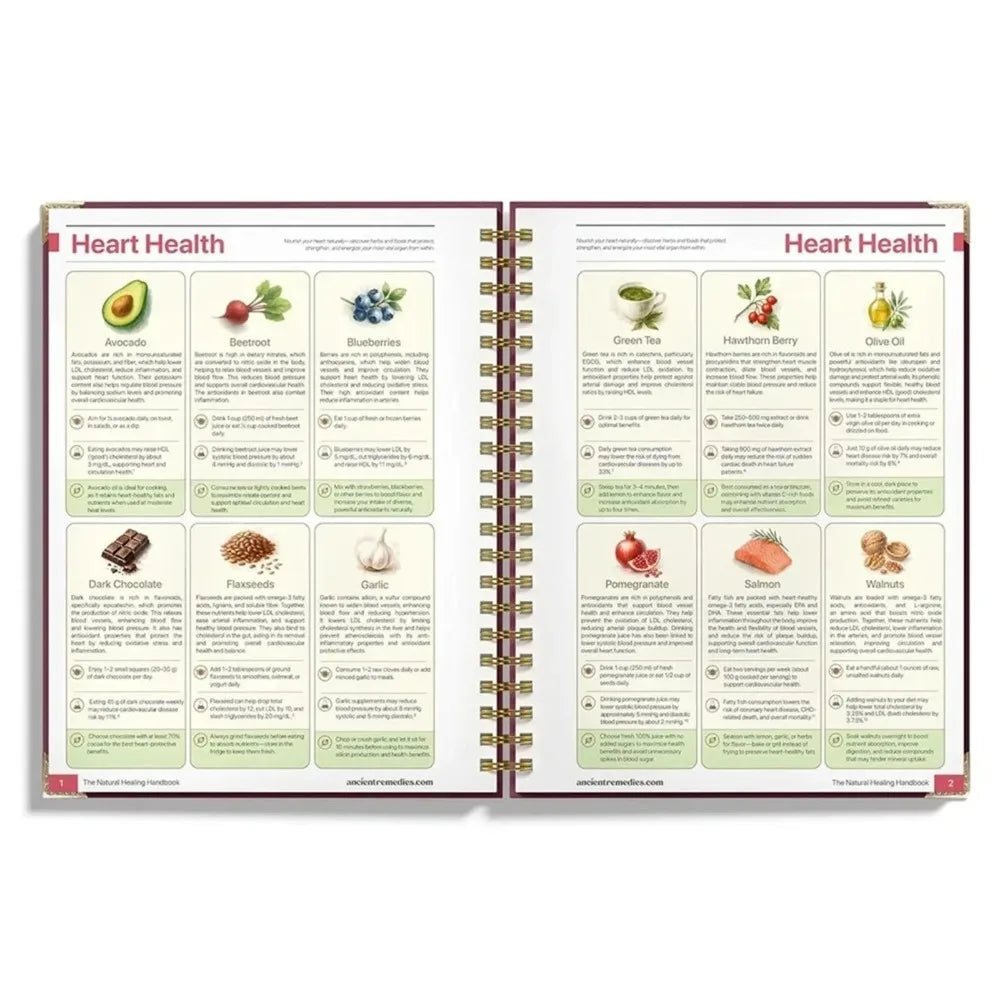 Natural Healing Handbook Spiral Bound Guidebook For Herbal Remedies And Holistic Health Support With Step By Step Protocols